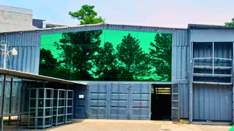 BODEGA ESCALON